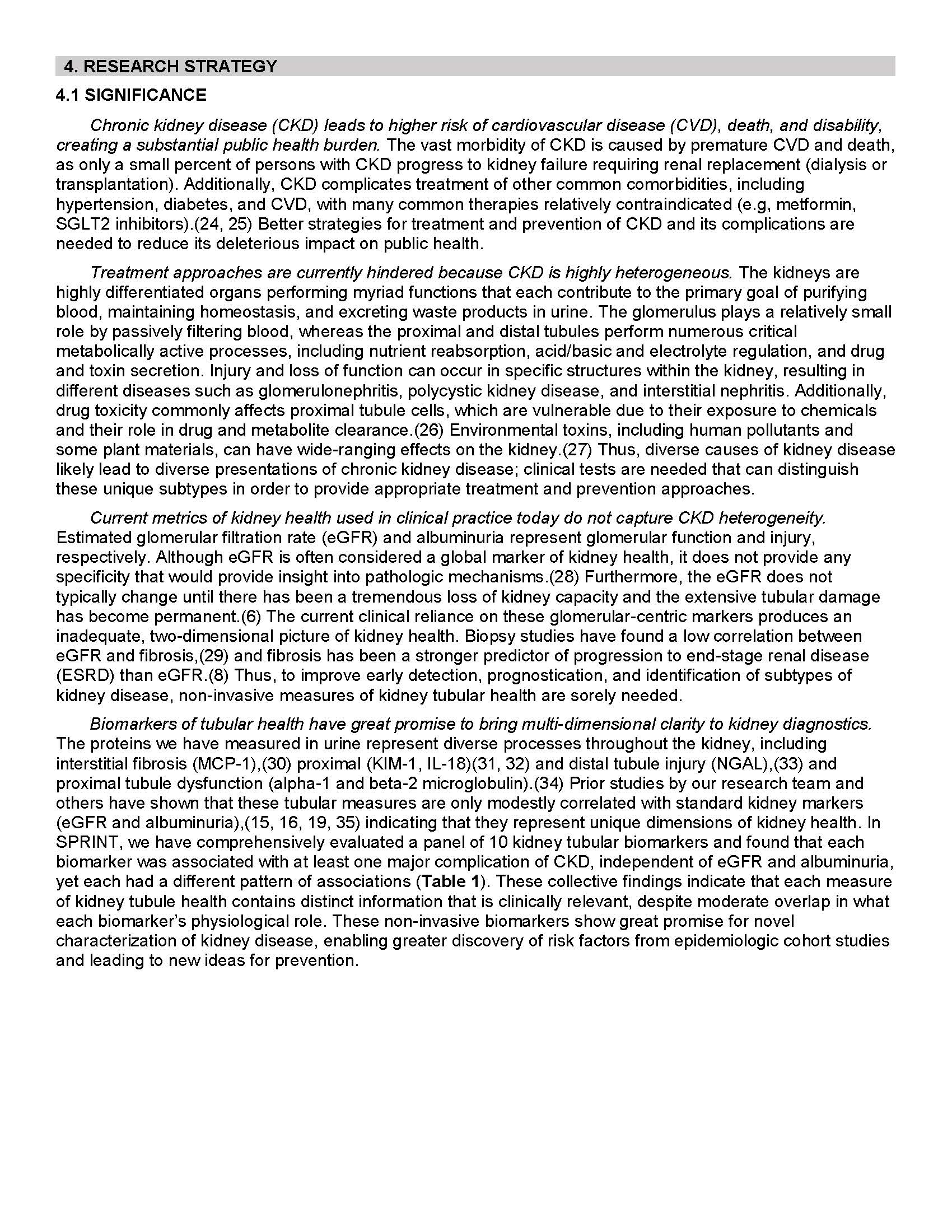 research strategy 1