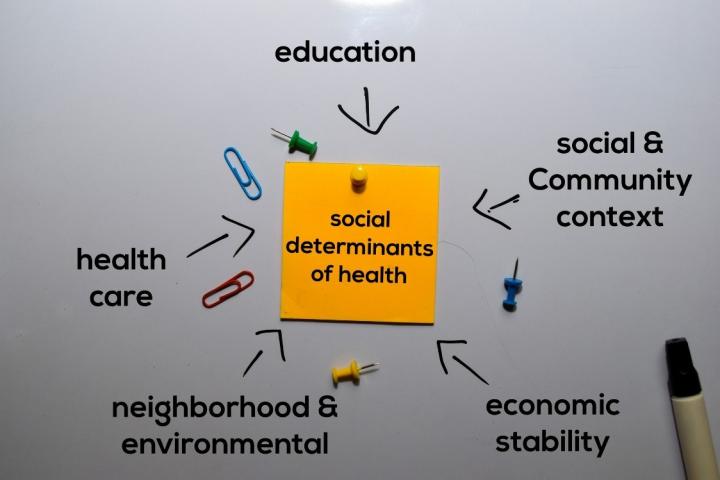 social determinants of health on a whiteboard